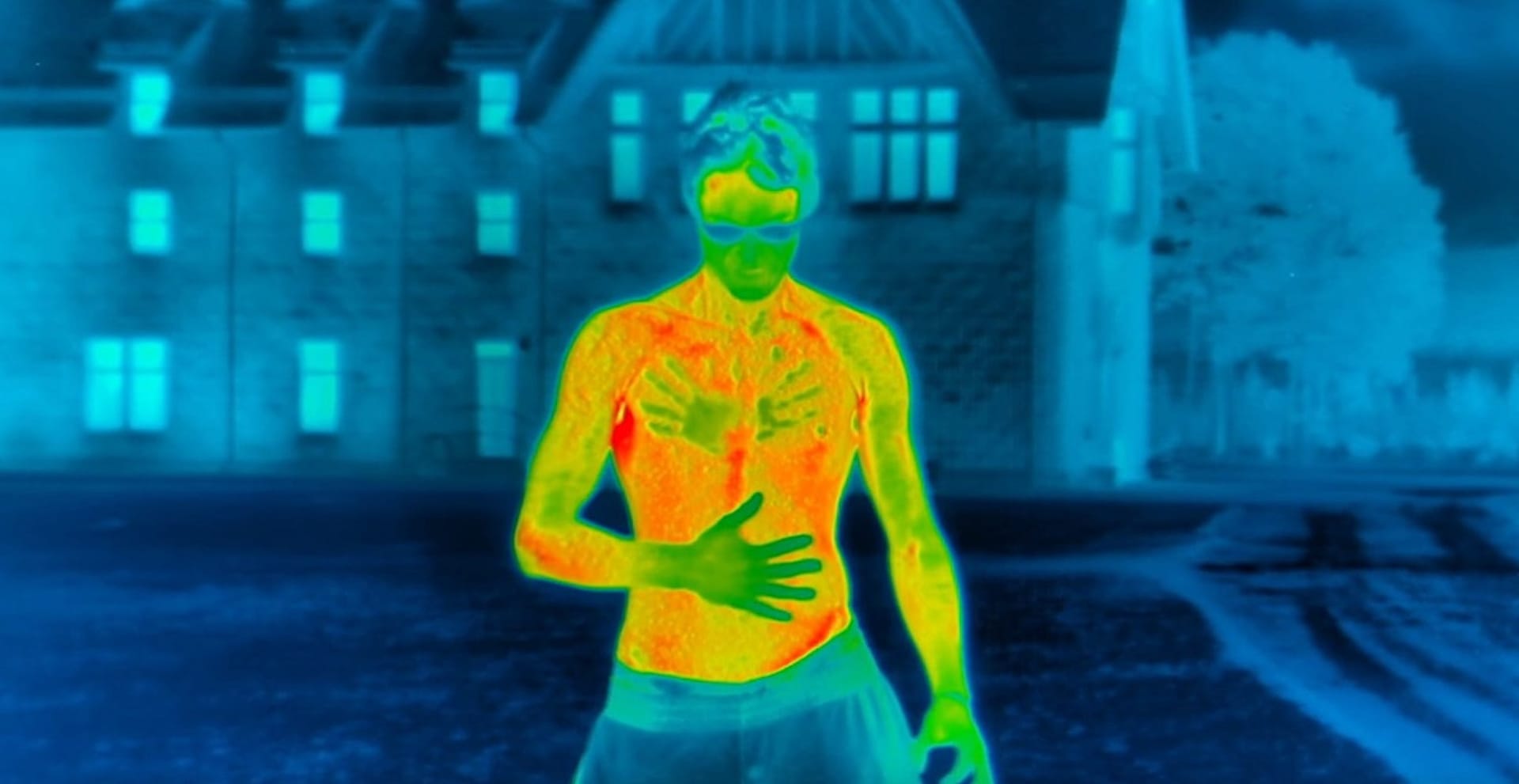 Mit Wärmebildkameras und dem Tapetum Lucidum die Dunkelheit durchdringen