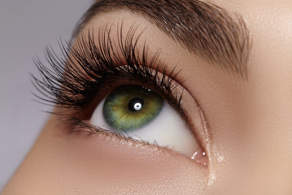 LashLink Stellt Vor: Elan Augenbrauenfarbe für Präzise und Langanhaltende Brauen