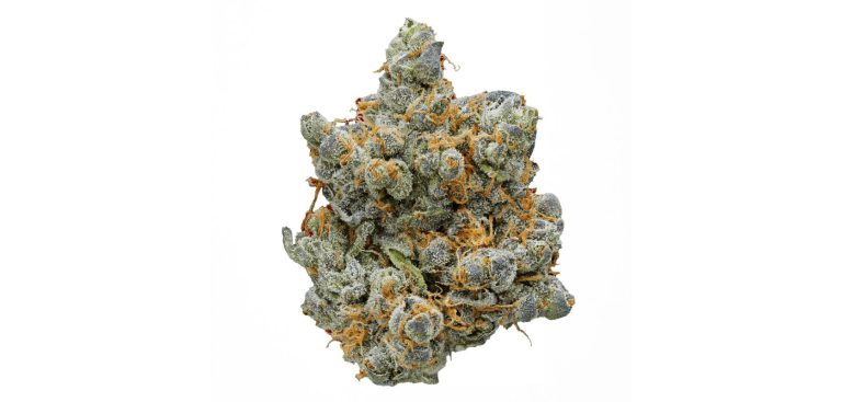 Strongest-Strain-of-Indica